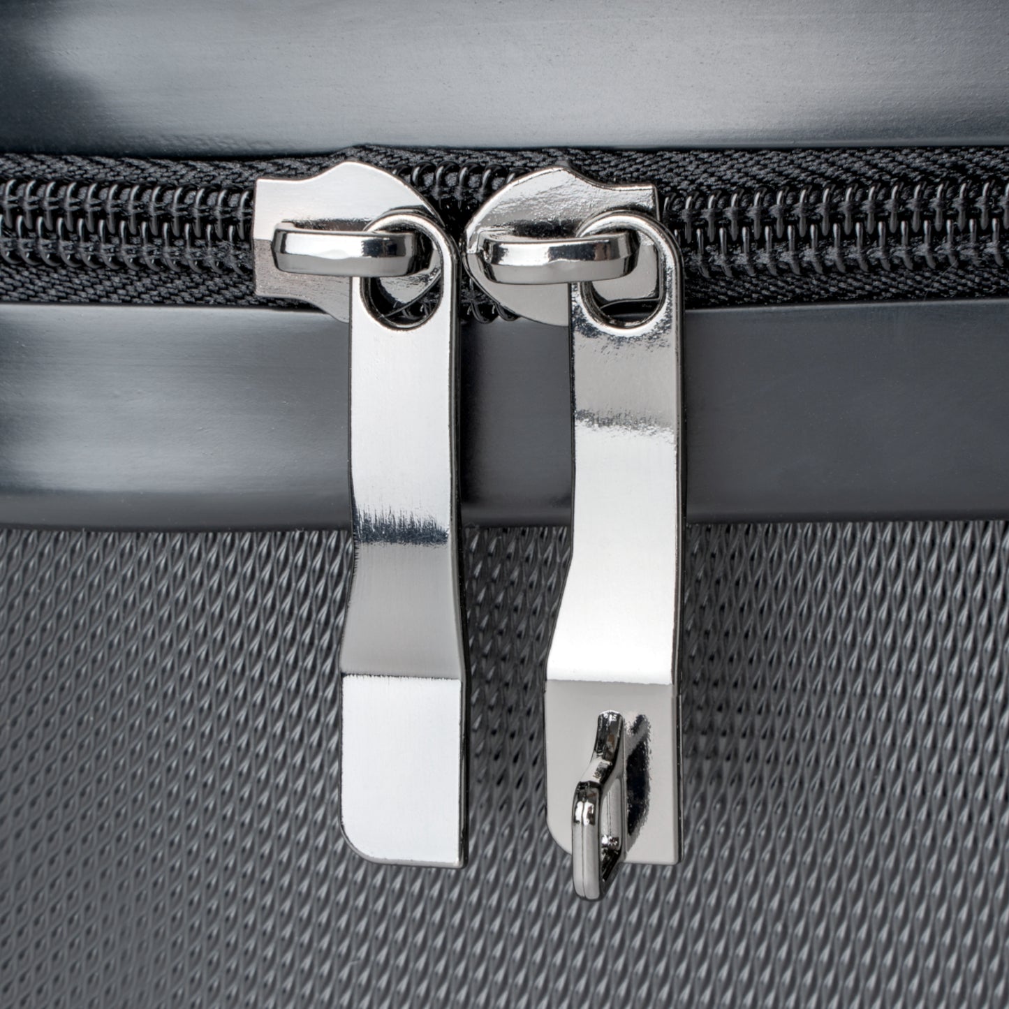 Maine Coon Suitcase