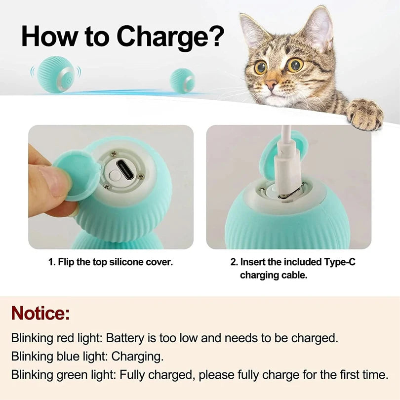 Rechargeable 2-in-1 Smart Interactive Cat Toy