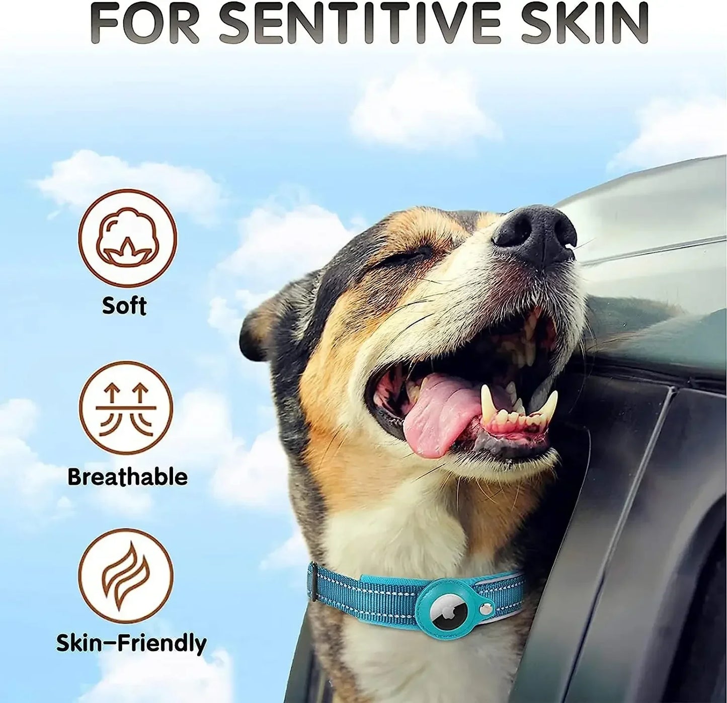 Waterproof and Reflective Dog Collar with Airtag Holder