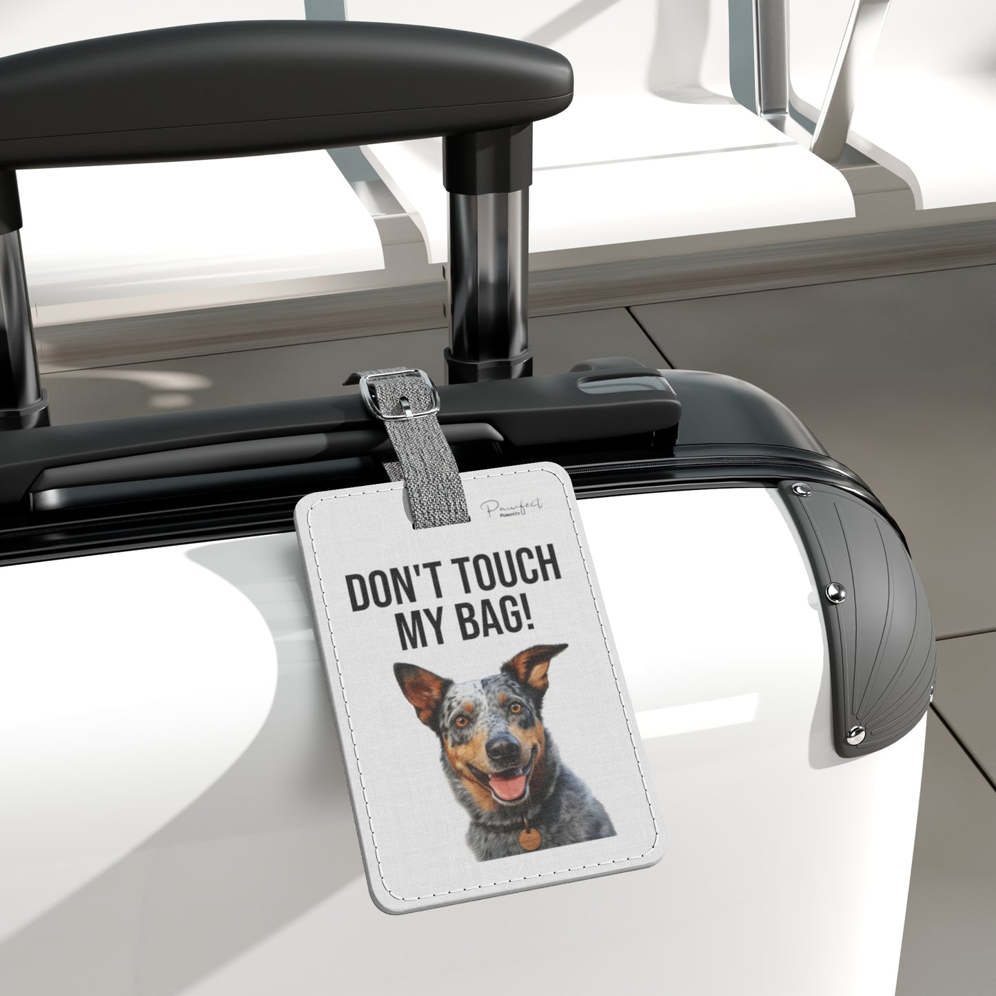 Australian Cattle Dog Saffiano Polyester Luggage Tag (scratch- and water-resistant)