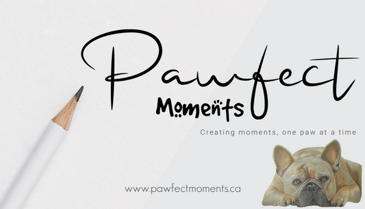 Pawfect Moments Digital Gift Card