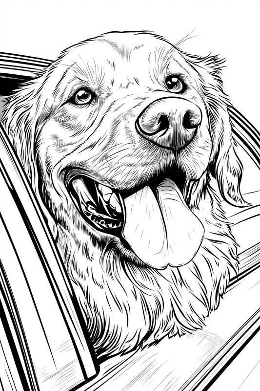 Colouring Page - Golden Retriever
