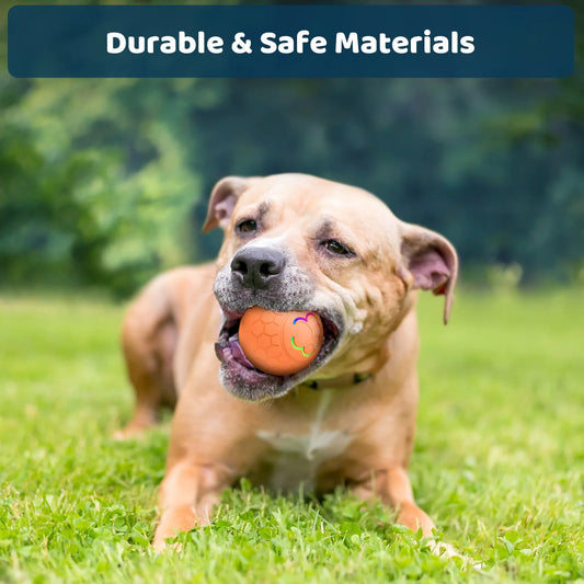 Rechargeable LED Automatic Bounce Ball for Dogs