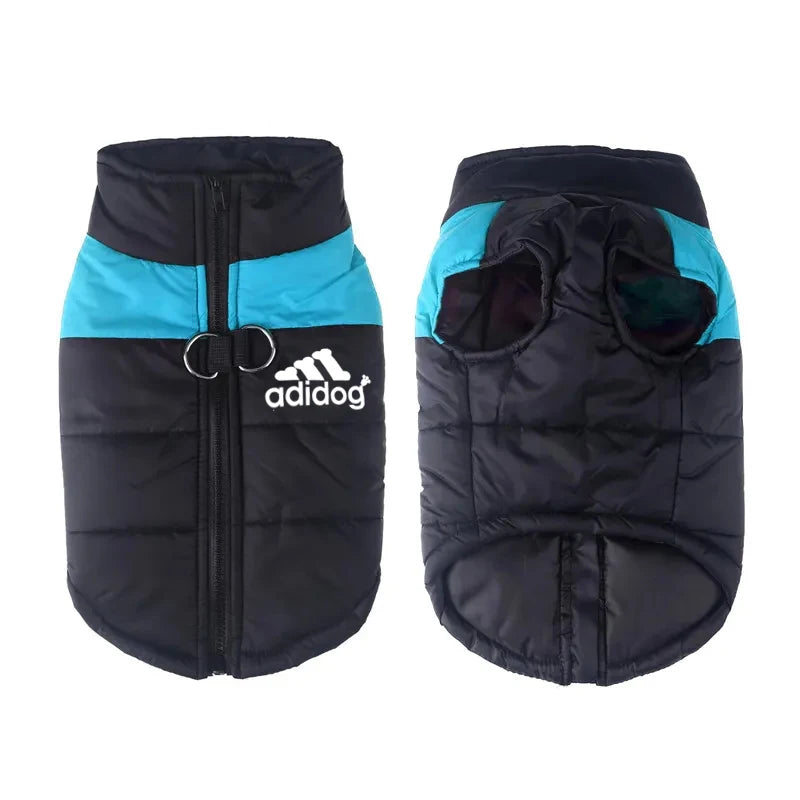 Padded Zipper Jacket