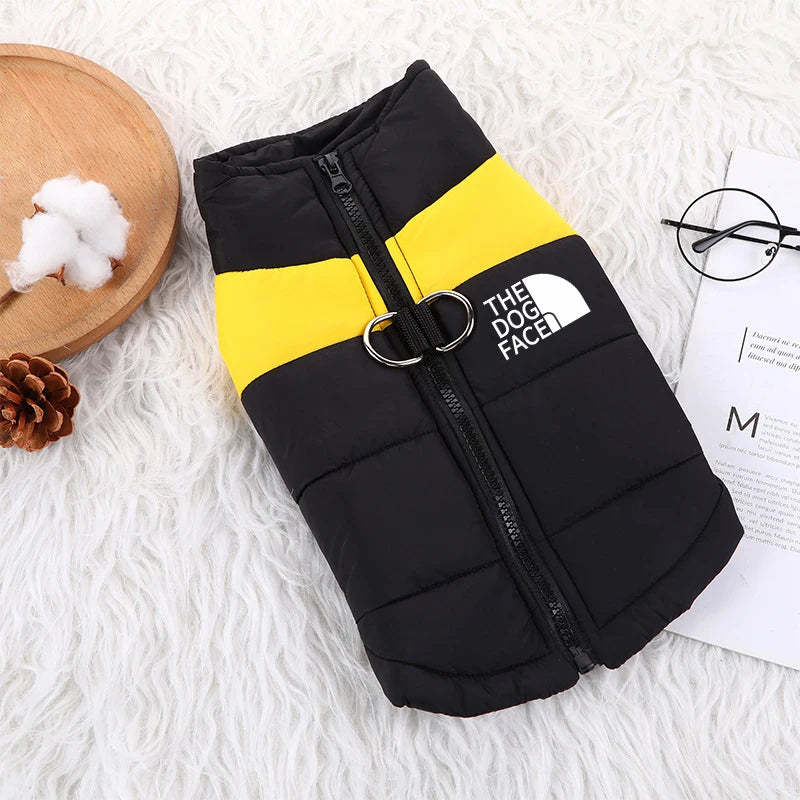 Padded Zipper Jacket