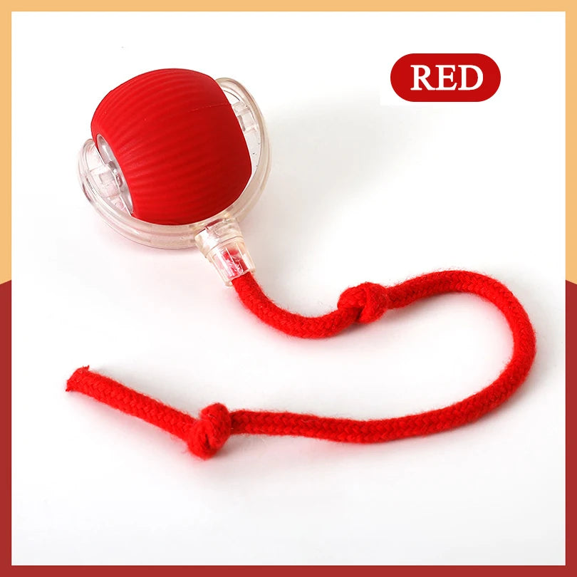 Rechargeable Interactive and Motion Activated Toy for Cats