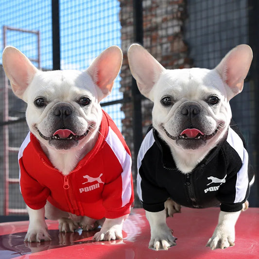 Sportive Dog Jacket