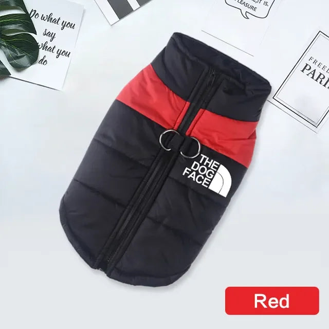 Padded Zipper Jacket