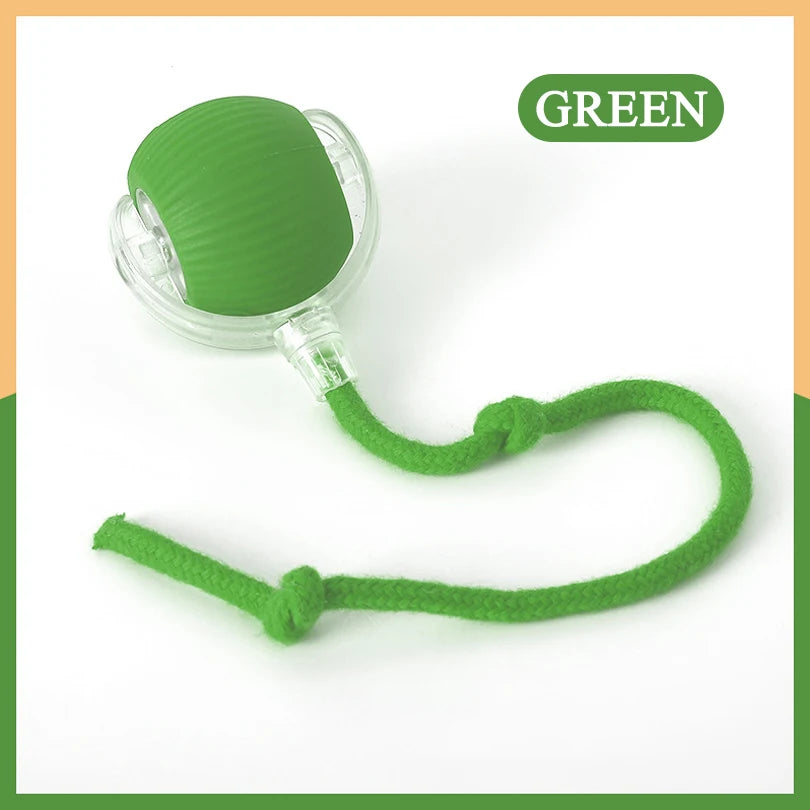 Rechargeable Interactive and Motion Activated Toy for Cats
