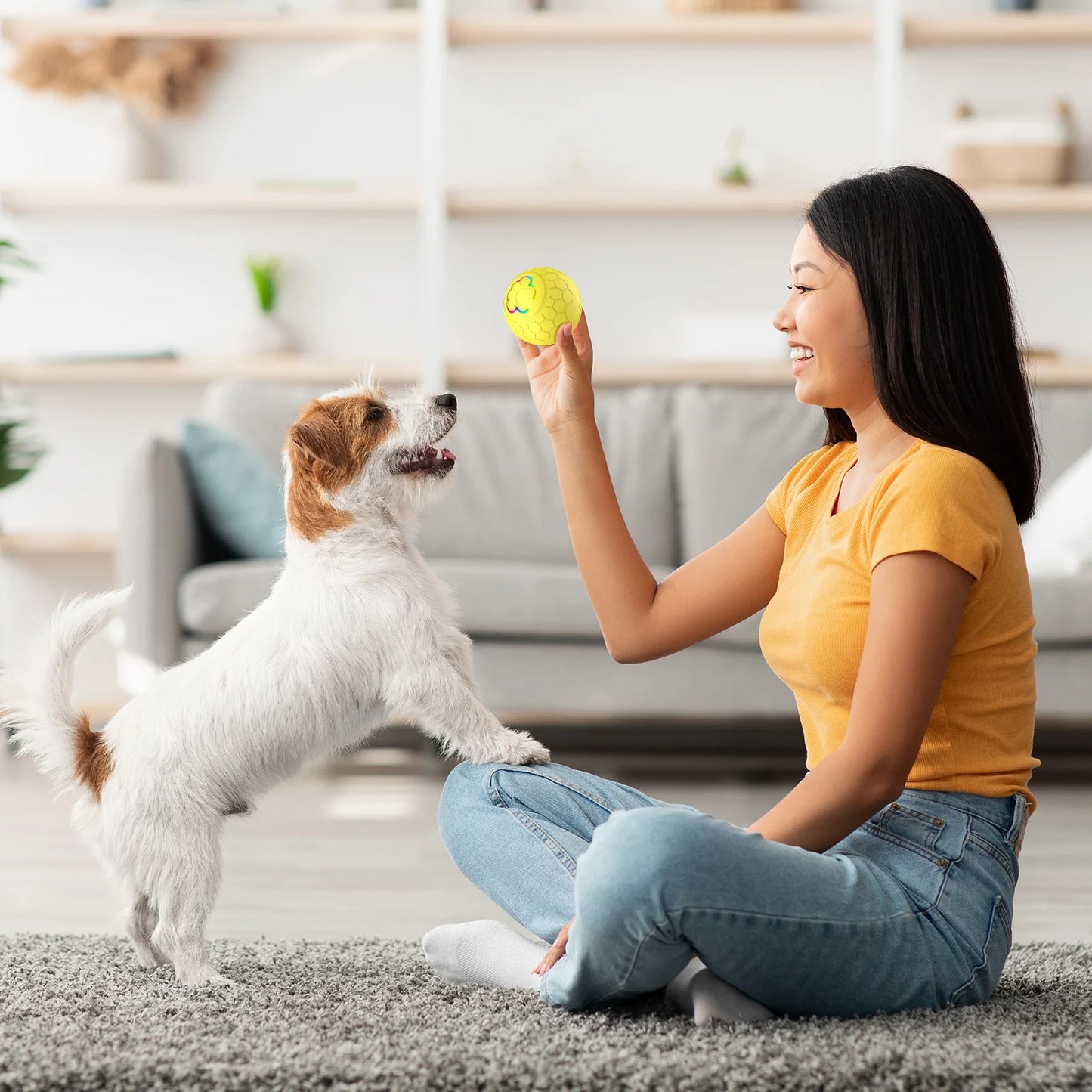 Rechargeable LED Automatic Bounce Ball for Dogs