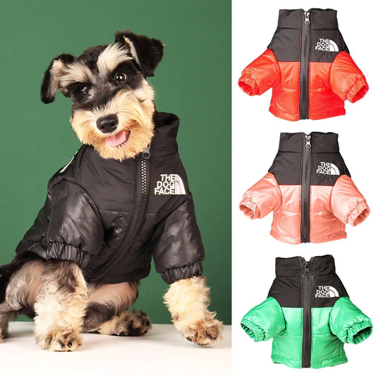 Pawfect Puffer: The Ultimate Dog Down Jacket