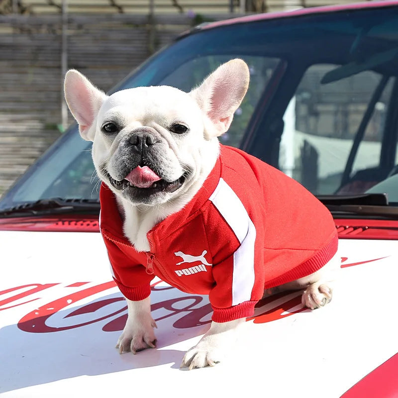 Sportive Dog Jacket