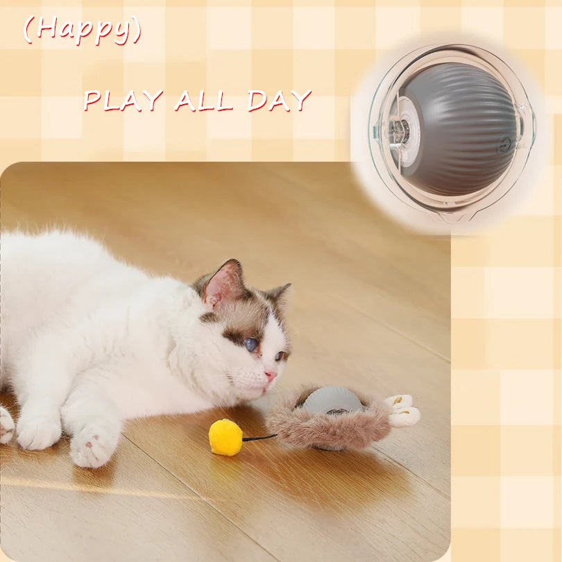 Rechargeable Interactive and Motion Activated Toy for Cats