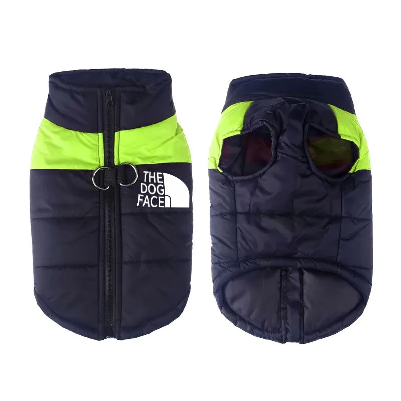Padded Zipper Jacket