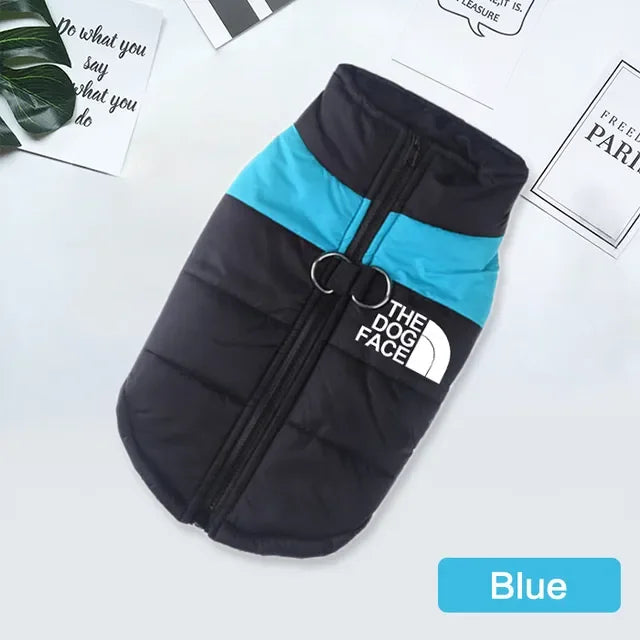 Padded Zipper Jacket