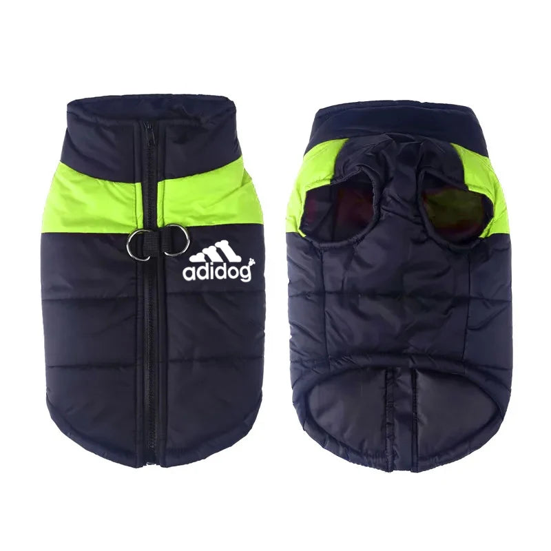 Padded Zipper Jacket