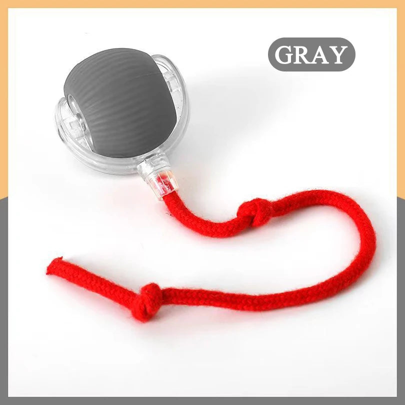 Rechargeable Interactive and Motion Activated Toy for Cats