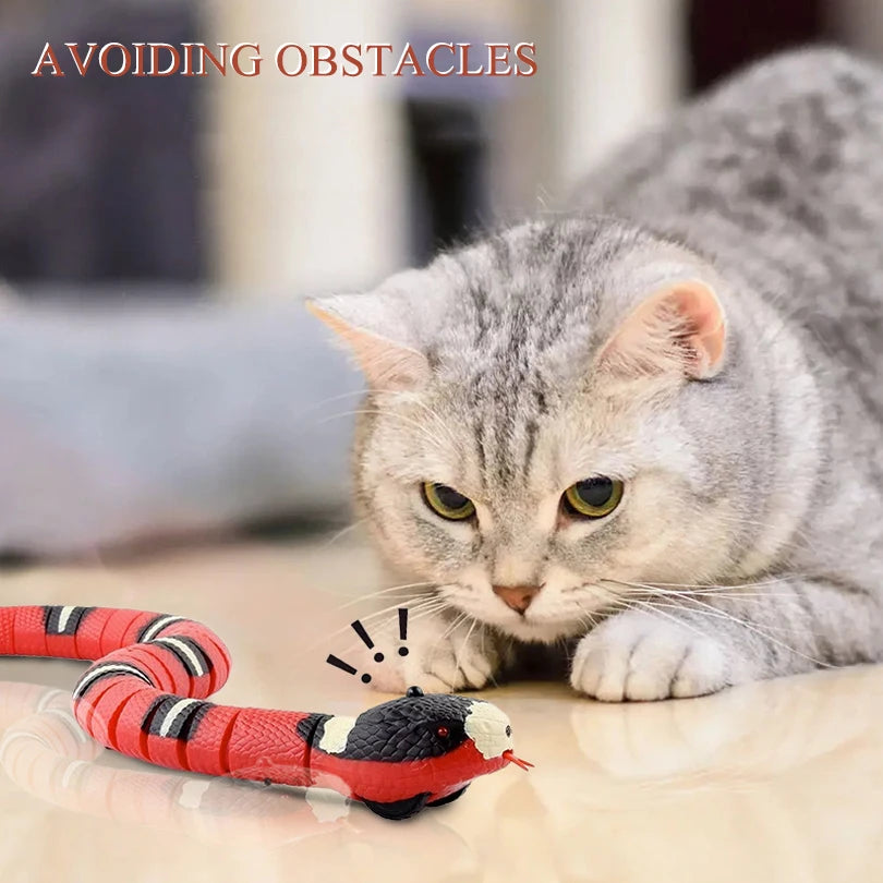 Rechargeable 2-in-1 Smart Interactive Cat Toy