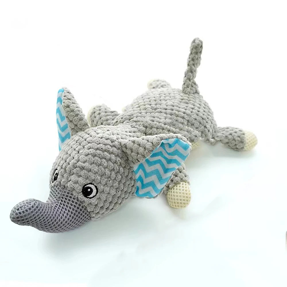 Squeaky Chew Toy