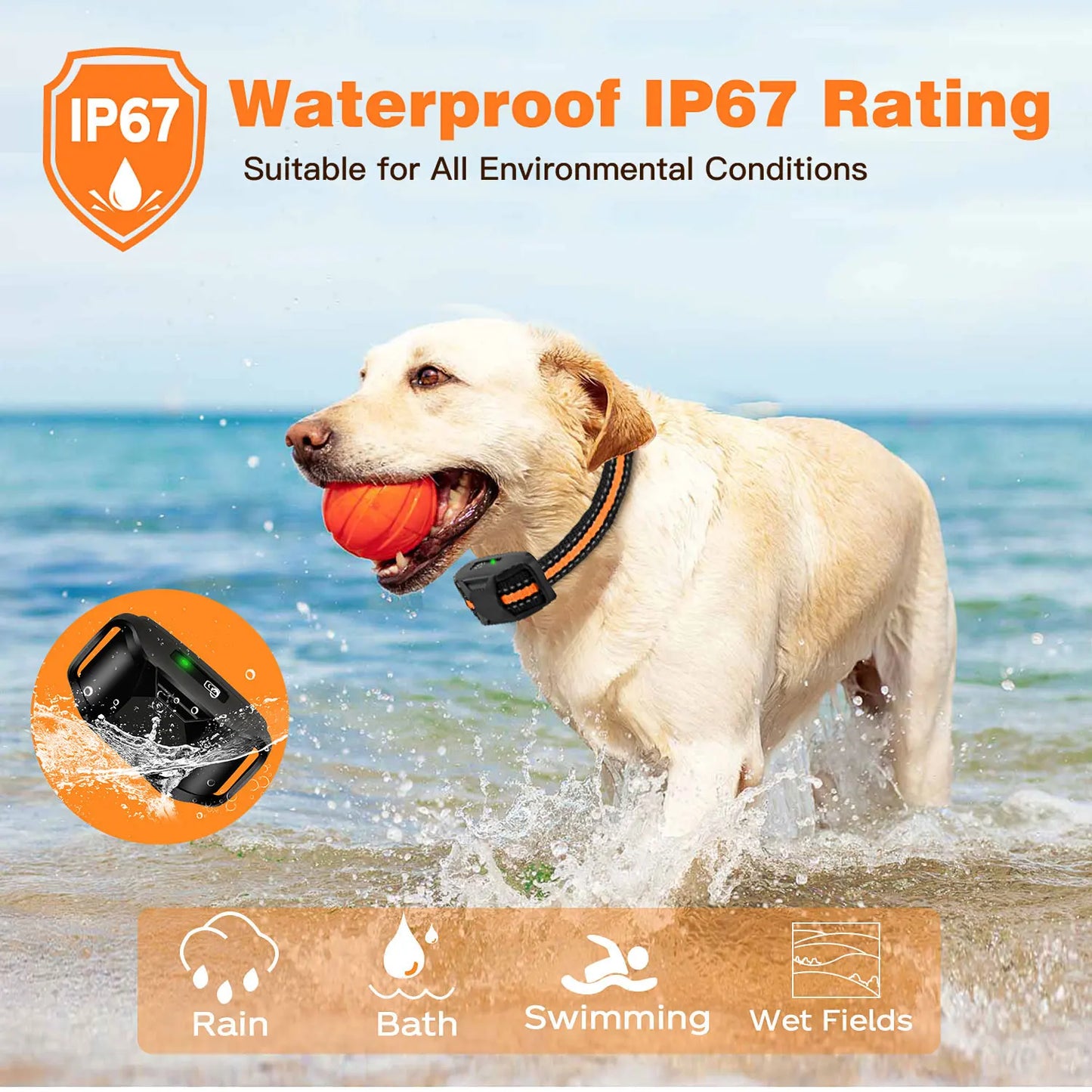 Waterproof Dog Training Collar with Remote Control for up to 3300 Ft