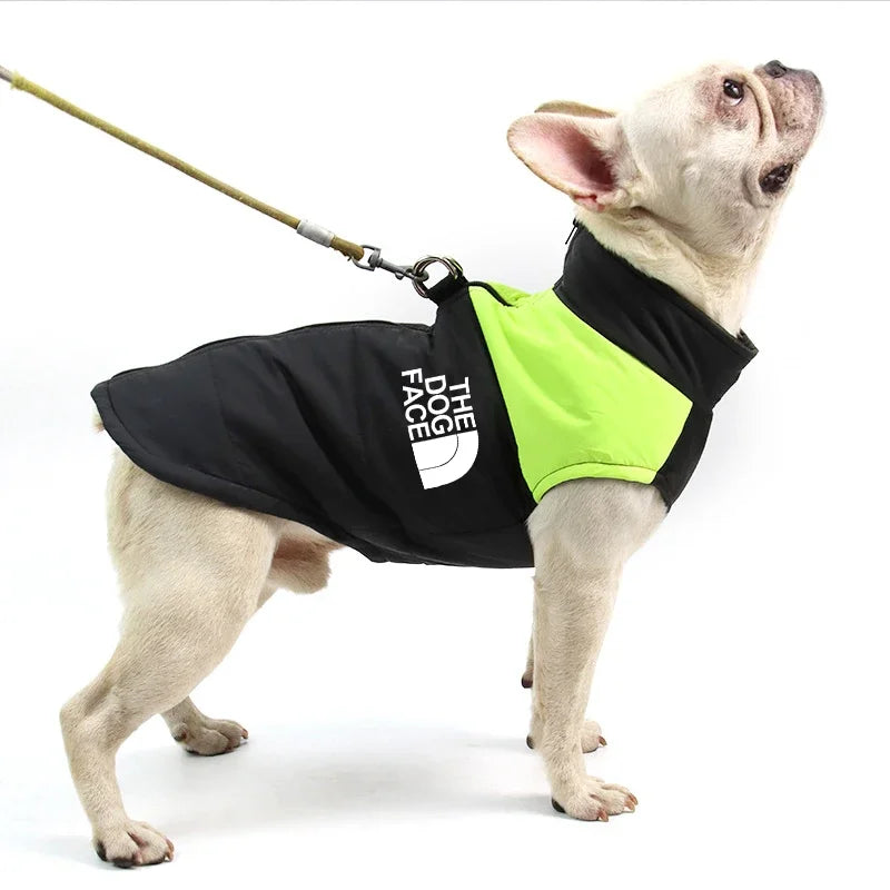 Padded Zipper Jacket