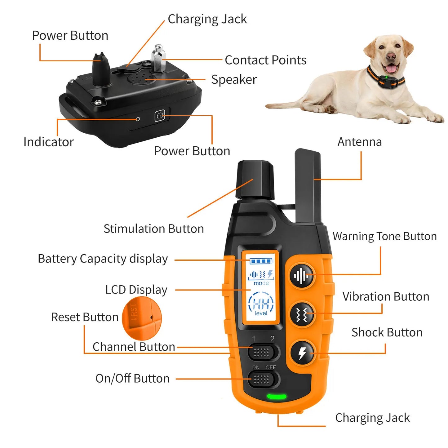 Waterproof Dog Training Collar with Remote Control for up to 3300 Ft