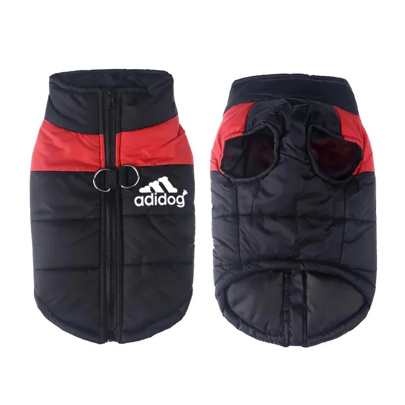 Padded Zipper Jacket