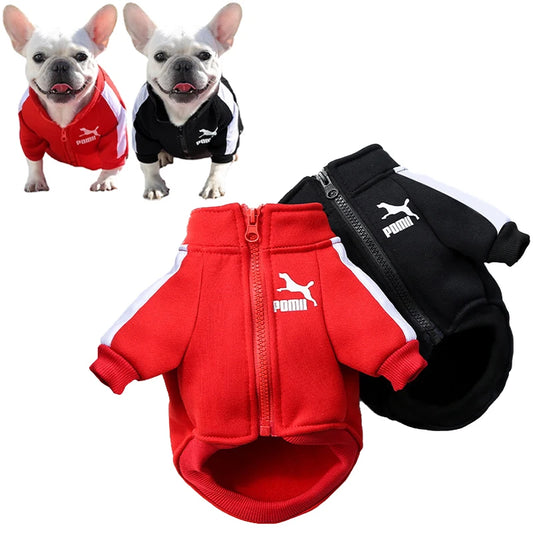 Sportive Dog Jacket