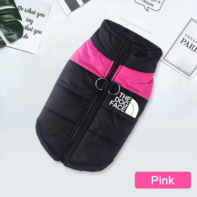 Padded Zipper Jacket