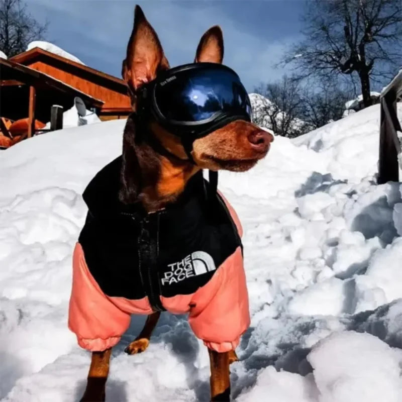 Pawfect Puffer: The Ultimate Dog Down Jacket