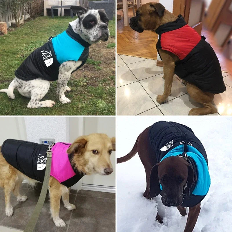 Padded Zipper Jacket