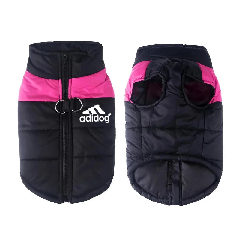 Padded Zipper Jacket