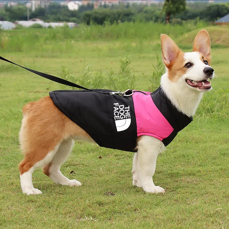 Padded Zipper Jacket