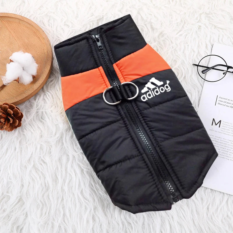 Padded Zipper Jacket