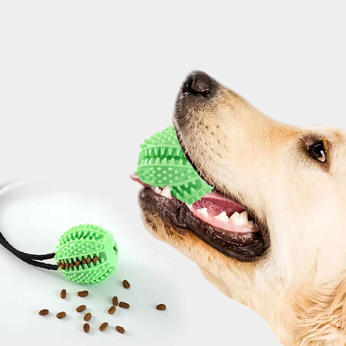 Treat Dispenser Ball with Tug-of-war Suction Cup (3 in 1)