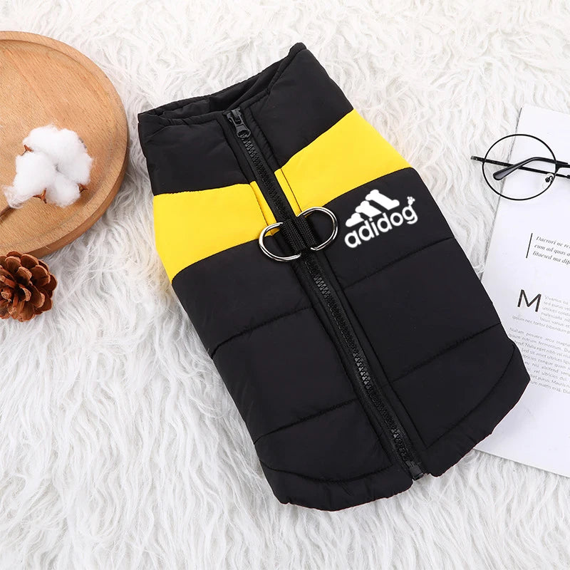 Padded Zipper Jacket