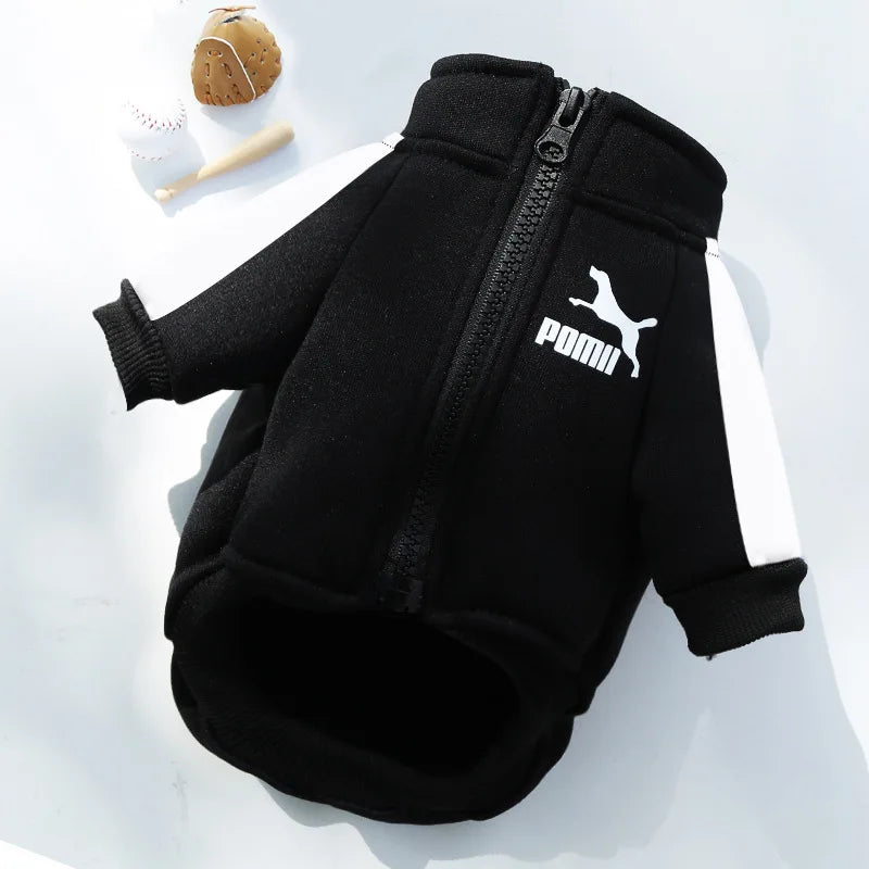 Sportive Dog Jacket