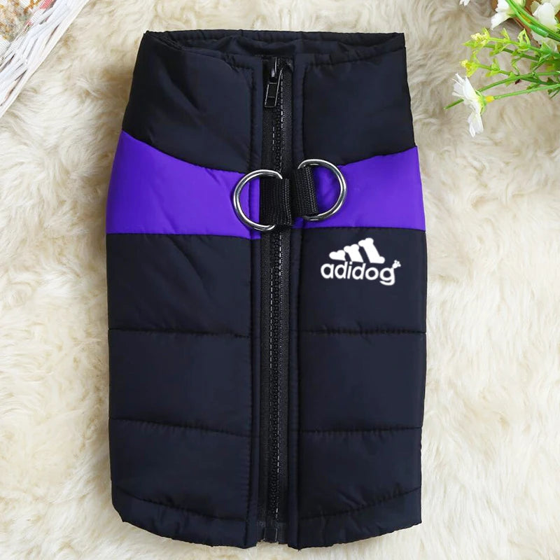 Padded Zipper Jacket